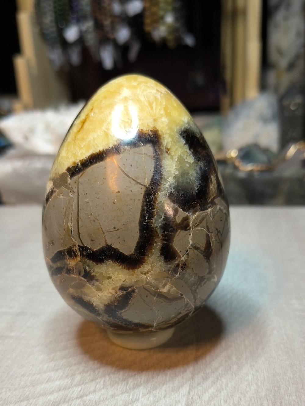 #36 Large 1lb Septarian Dragon Egg